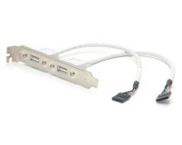 Startech.com 2-Outlet USB Plate  (USBPLATE)